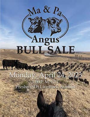 Ma and Pa Angus Bull Sale 2023